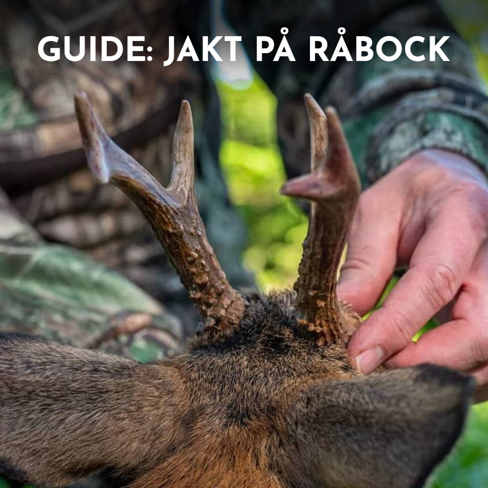 Bockpremiär