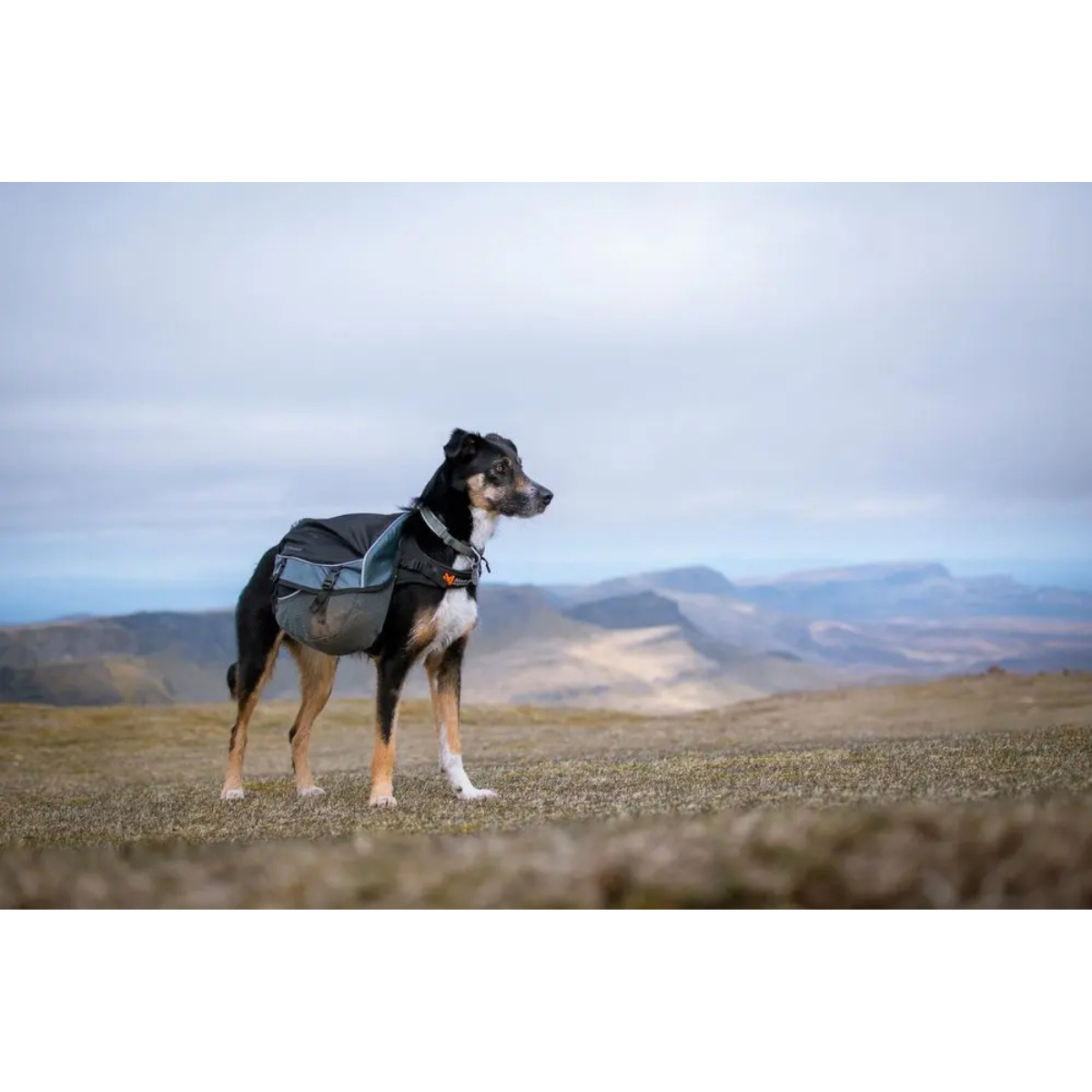 Non Stop Amundsen Klövjeväska