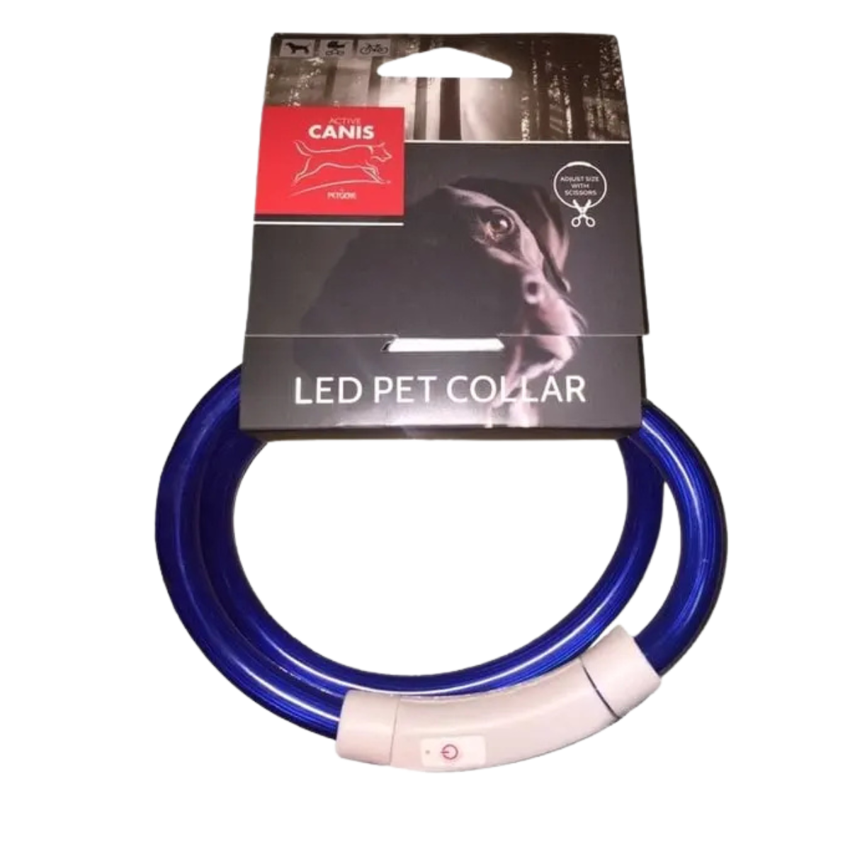 Active Canis USB Led Collar Blue