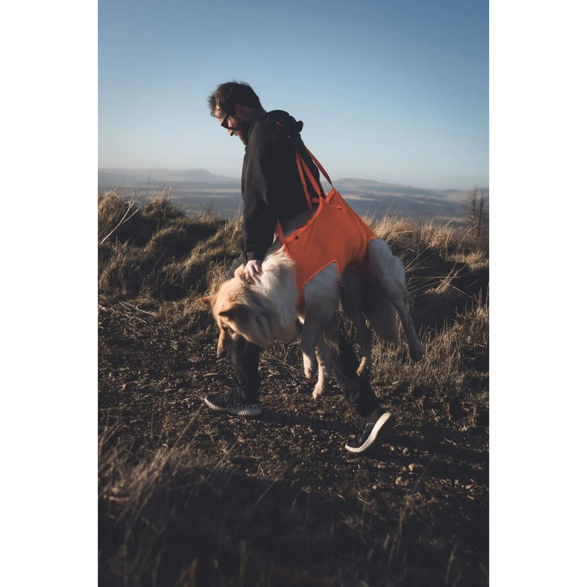 Non Stop Dog Rescue Sling