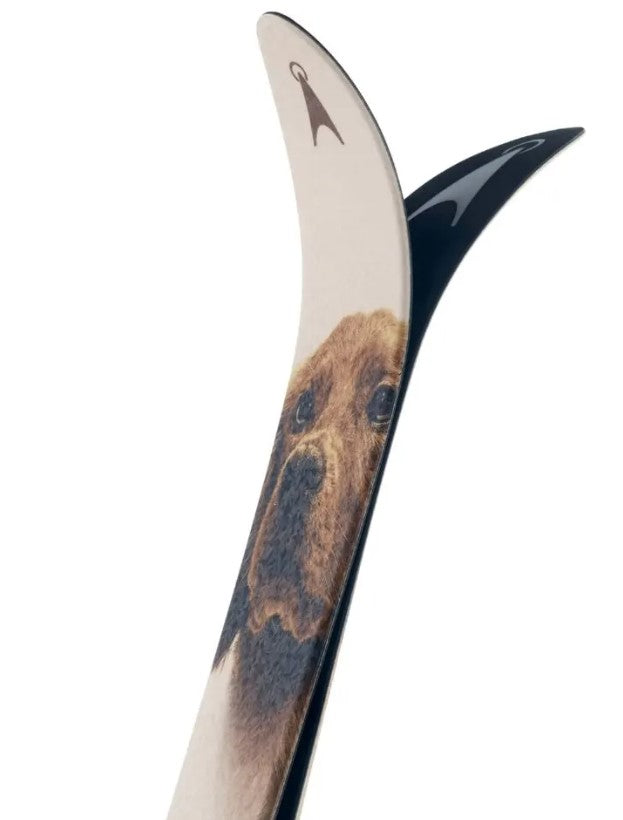 Åsnes Kongsvold Jaktskida