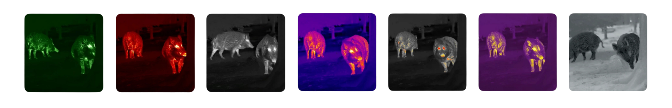 Nocpix termisk optik för jakt – kikarsikten och värmekikare