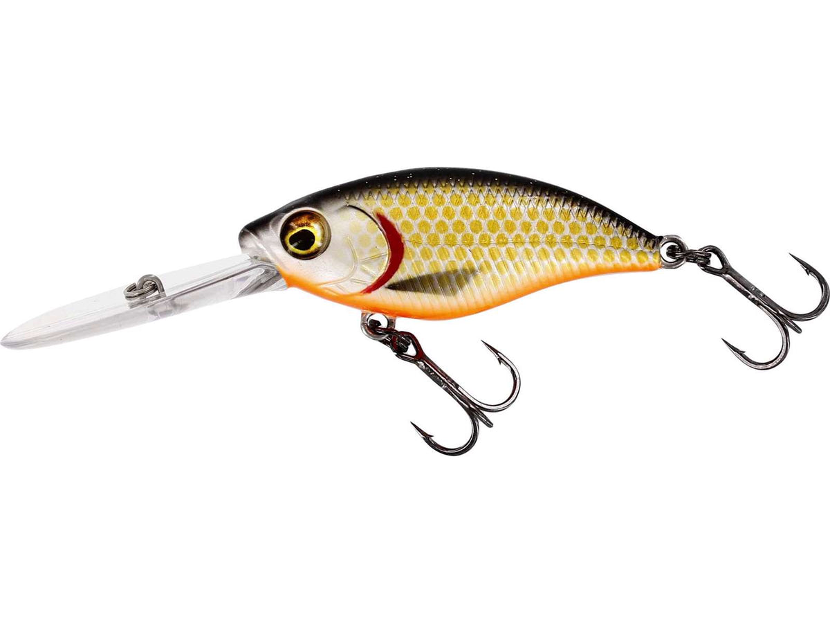 Westin BuzzBite DR 6,5 cm 14 g Floating – Official Roach