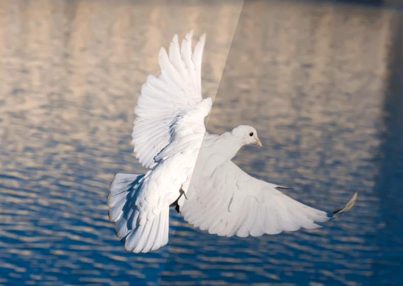 Jämförelse av ljustransmission där en bild visar suddig sikt och en annan visar skarp och ljus bild
