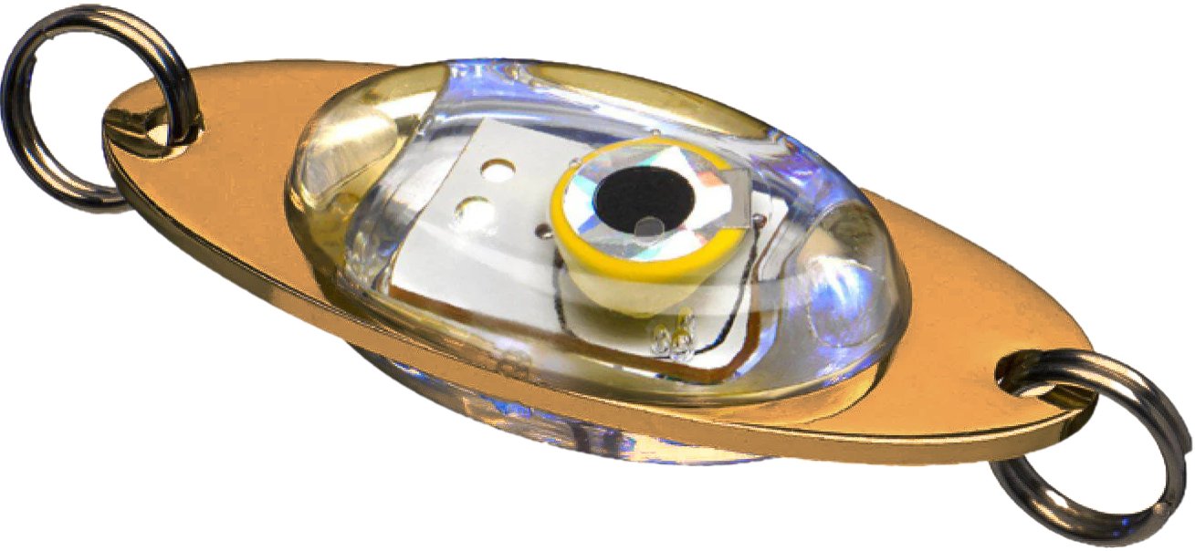 Wiggler Landöblink Koppar Blå