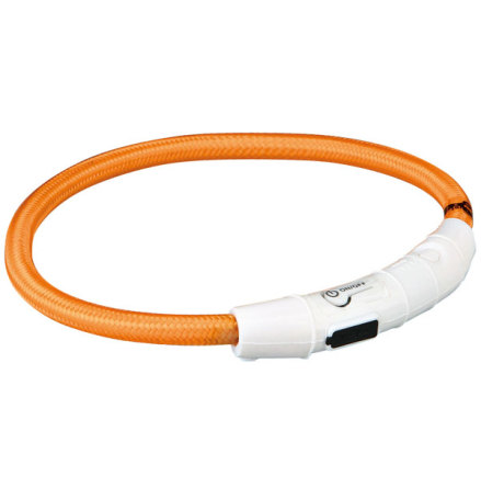 Hundhalsband Flash light ring Orange