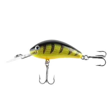 IFISH The Abbot 55m Fluo Perch