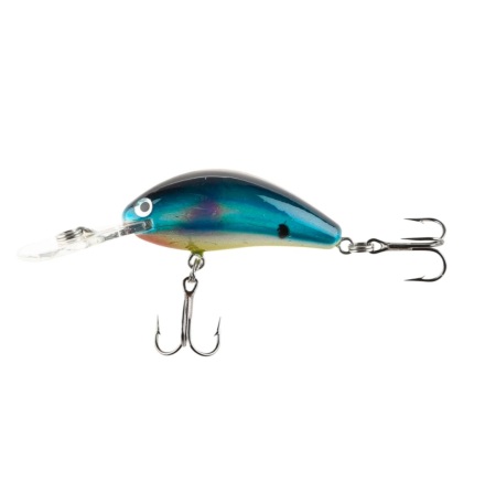 IFISH The Abbot 55m Ghost Blue