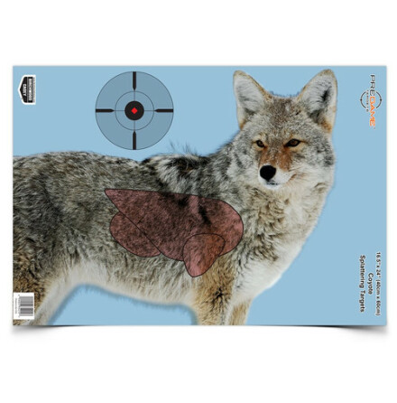 Birchwood Pregame Target Coyote 3pack