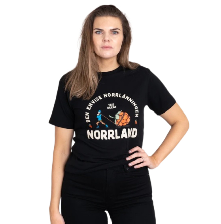 Great Norrland T-Shirt Envis Black