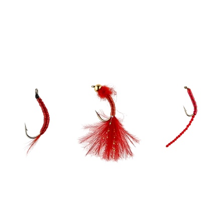 IFISH Bloodworms