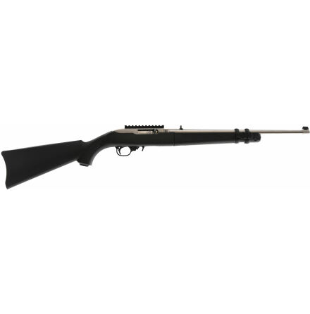 Beg Kulgevr Ruger 10/22 TD .22 LR (5,6X15R)