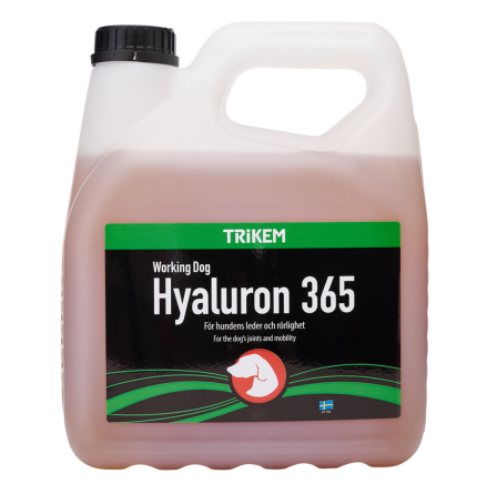 Trikem WorkingDog Hyaluron 365 3000ml