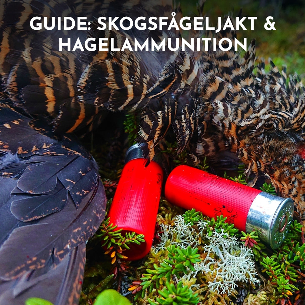 Välj rätt hagelammunition till skogsfågeljakten