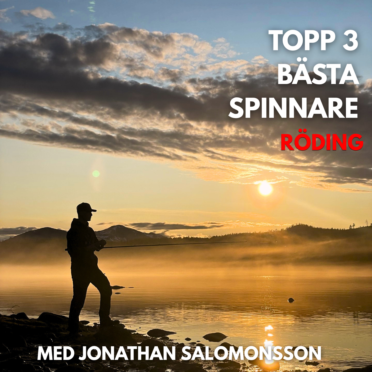 Bästa Spinnaren för Röding 2026