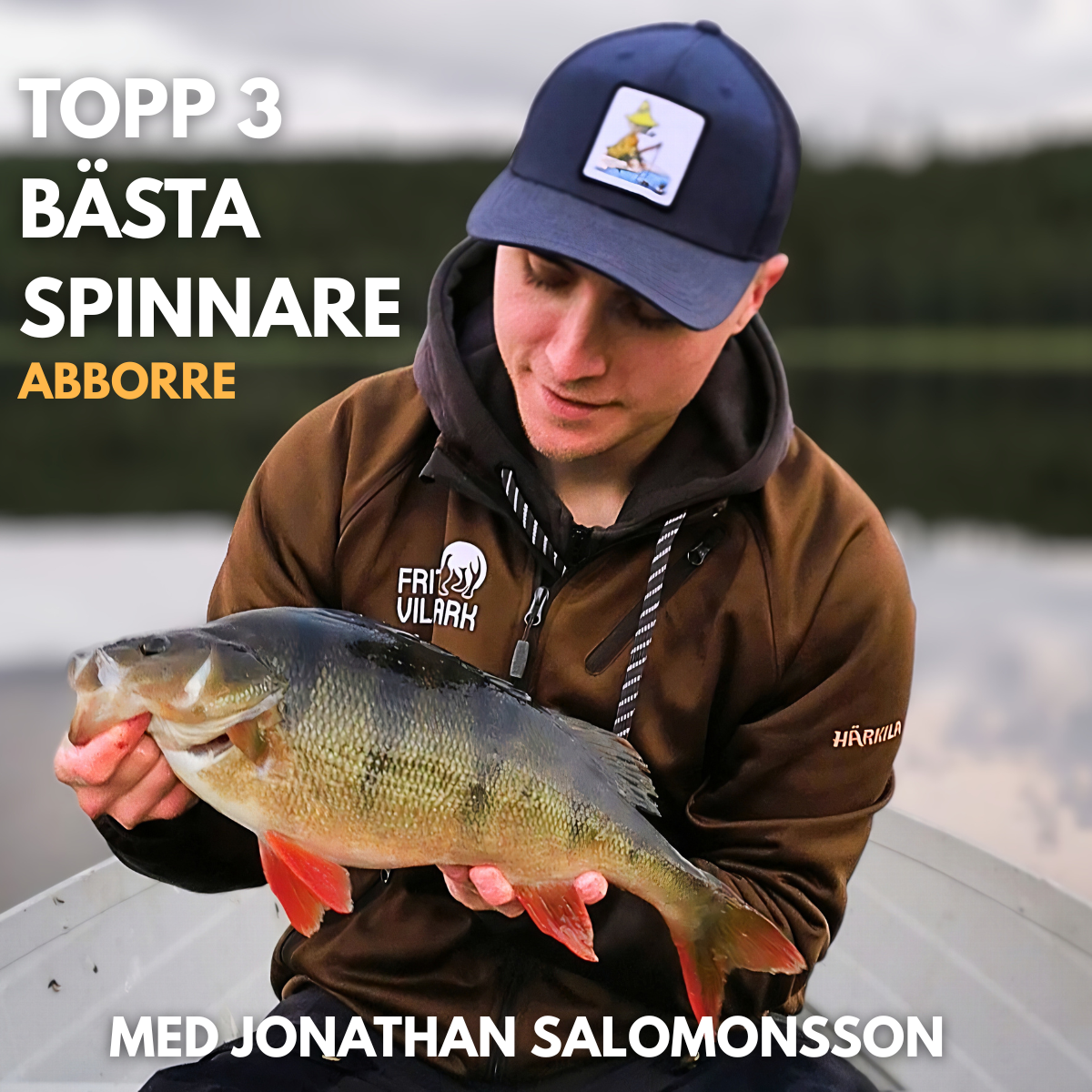 Bästa spinnaren för Abborre 2026