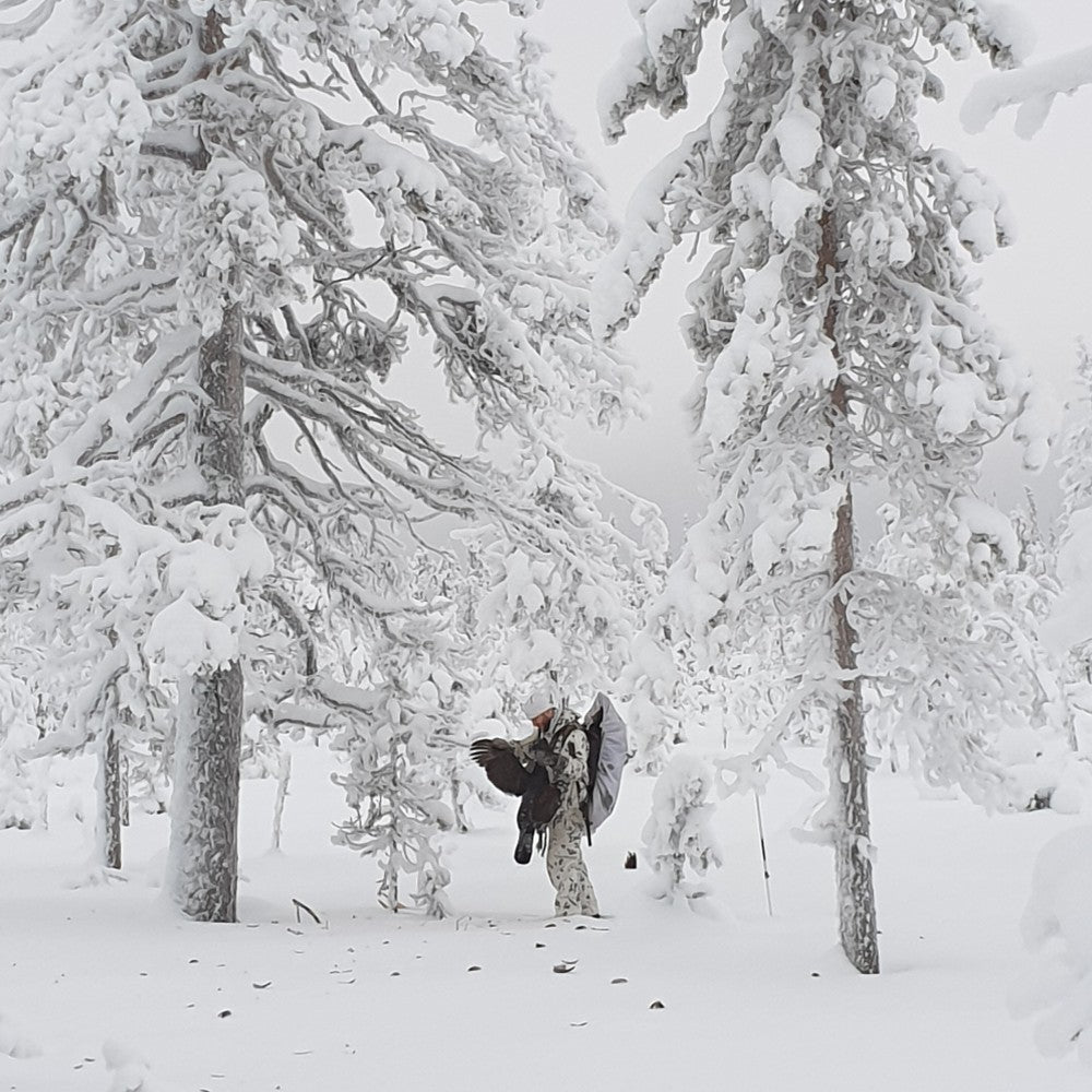 Tips för Toppfågeljakten