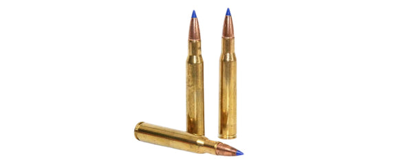 Ammunition - Stort Utbud | Fritid & Vildmark