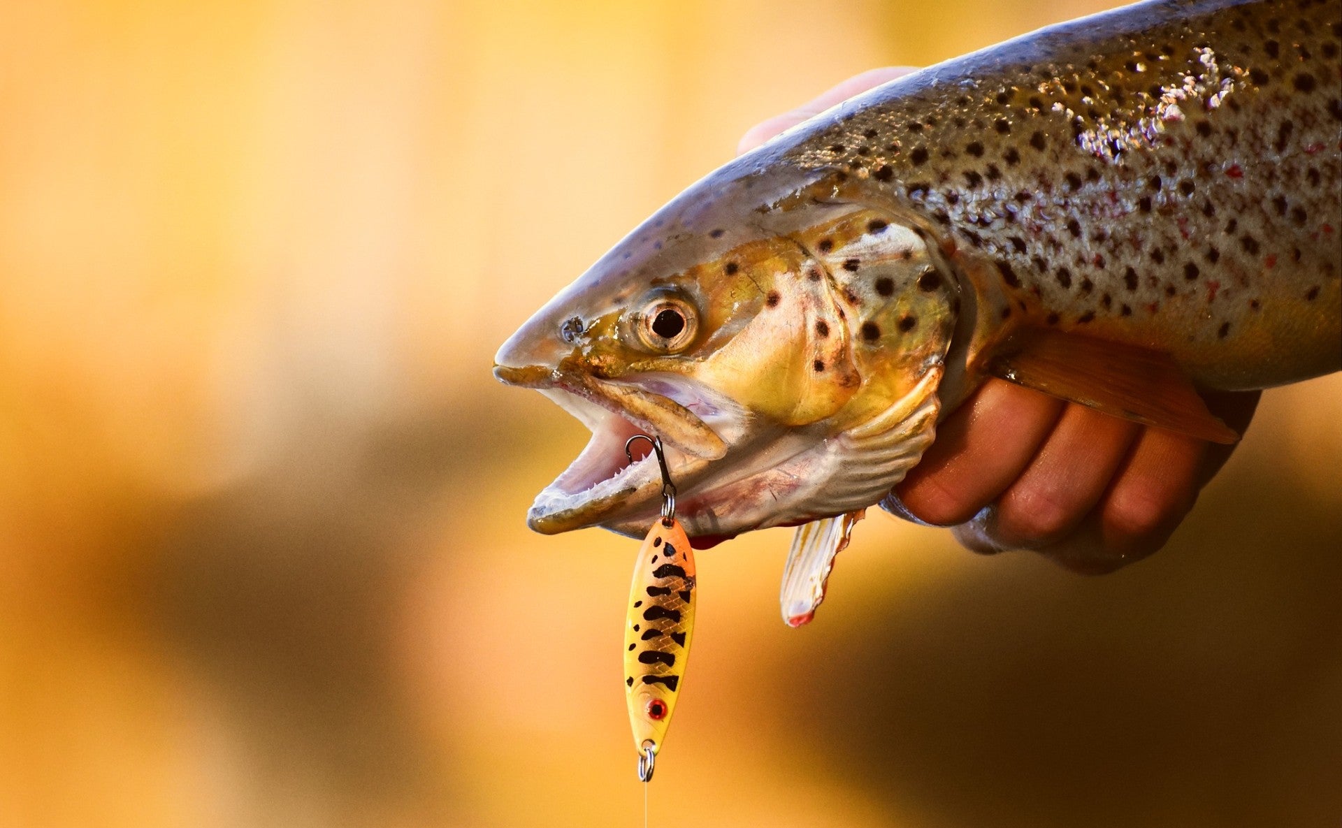 Armada tackle fritid&vildmark