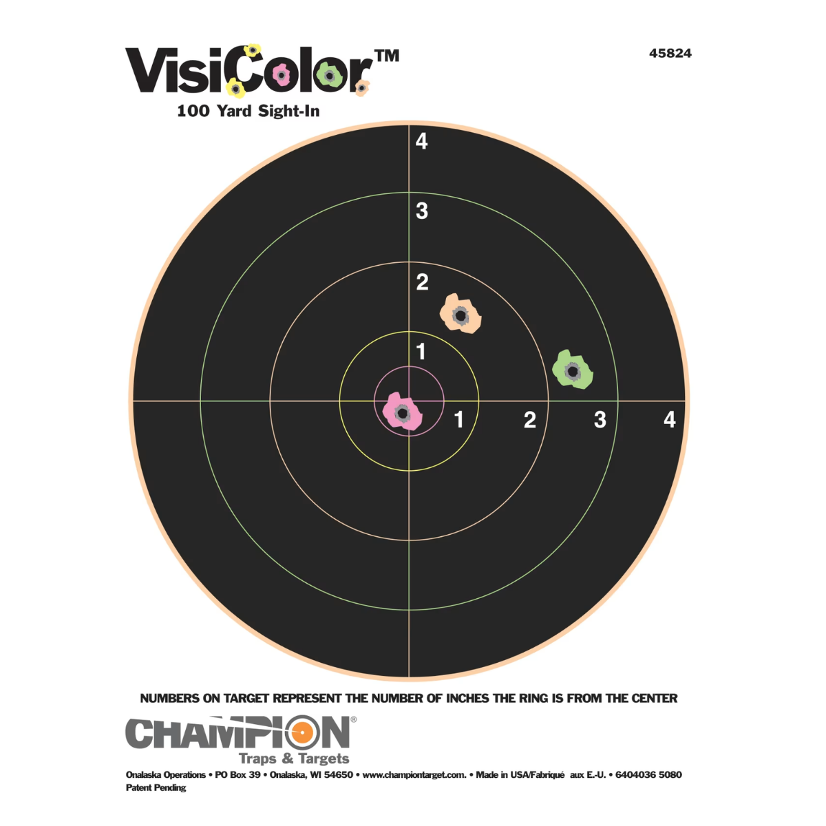 Champion Visi-Shot Färg 8" 10-p