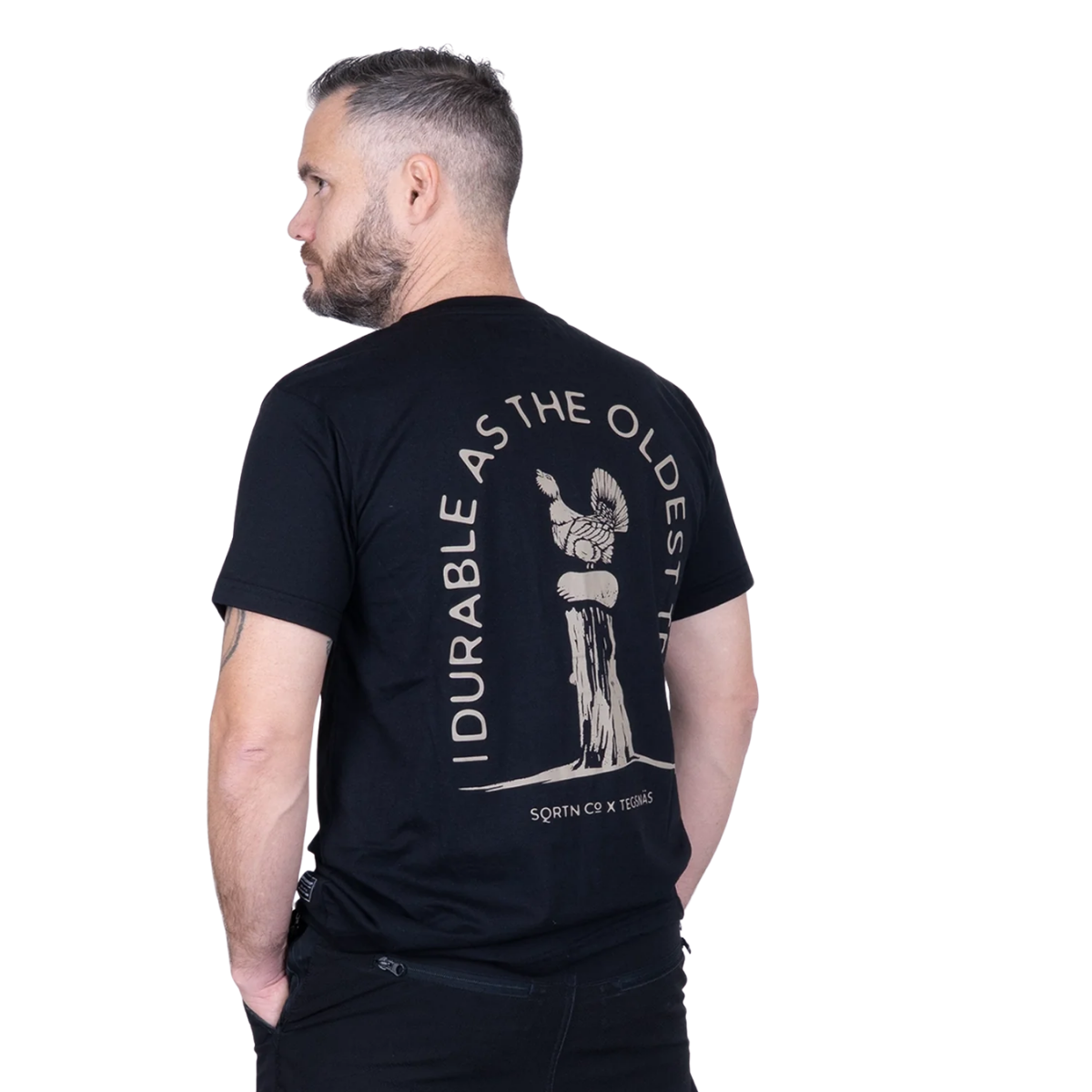 Great Norrland T-shirt Tegsnäs Durable Black