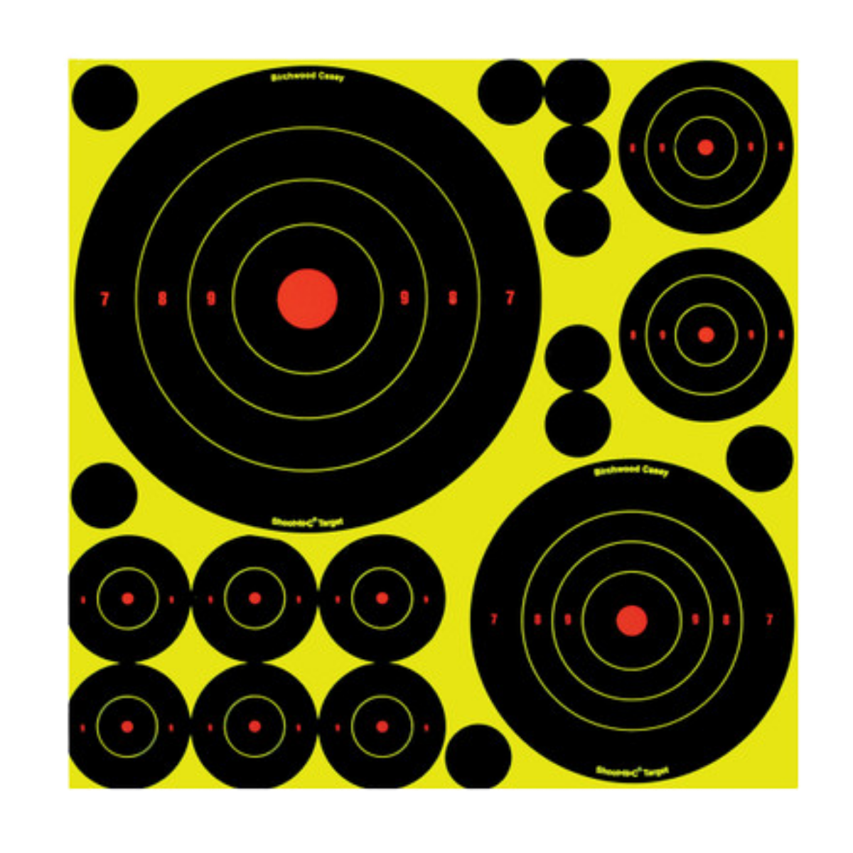 Birchwood Shoot NC Självmarkerande Tavlor