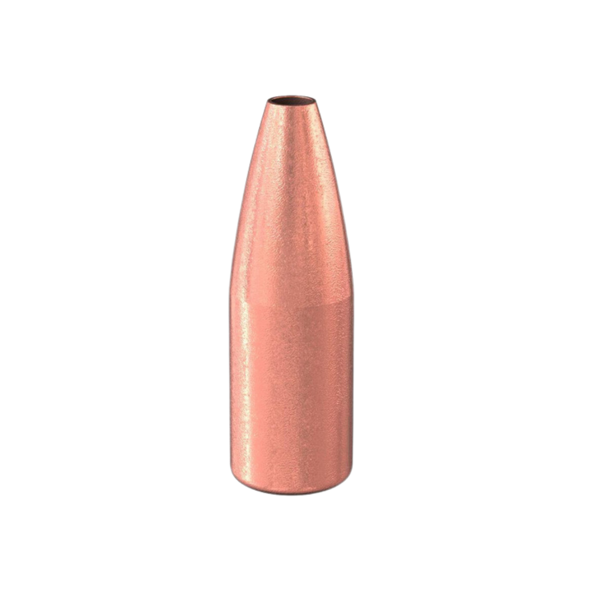 Speer TNT HP .204" 39gr