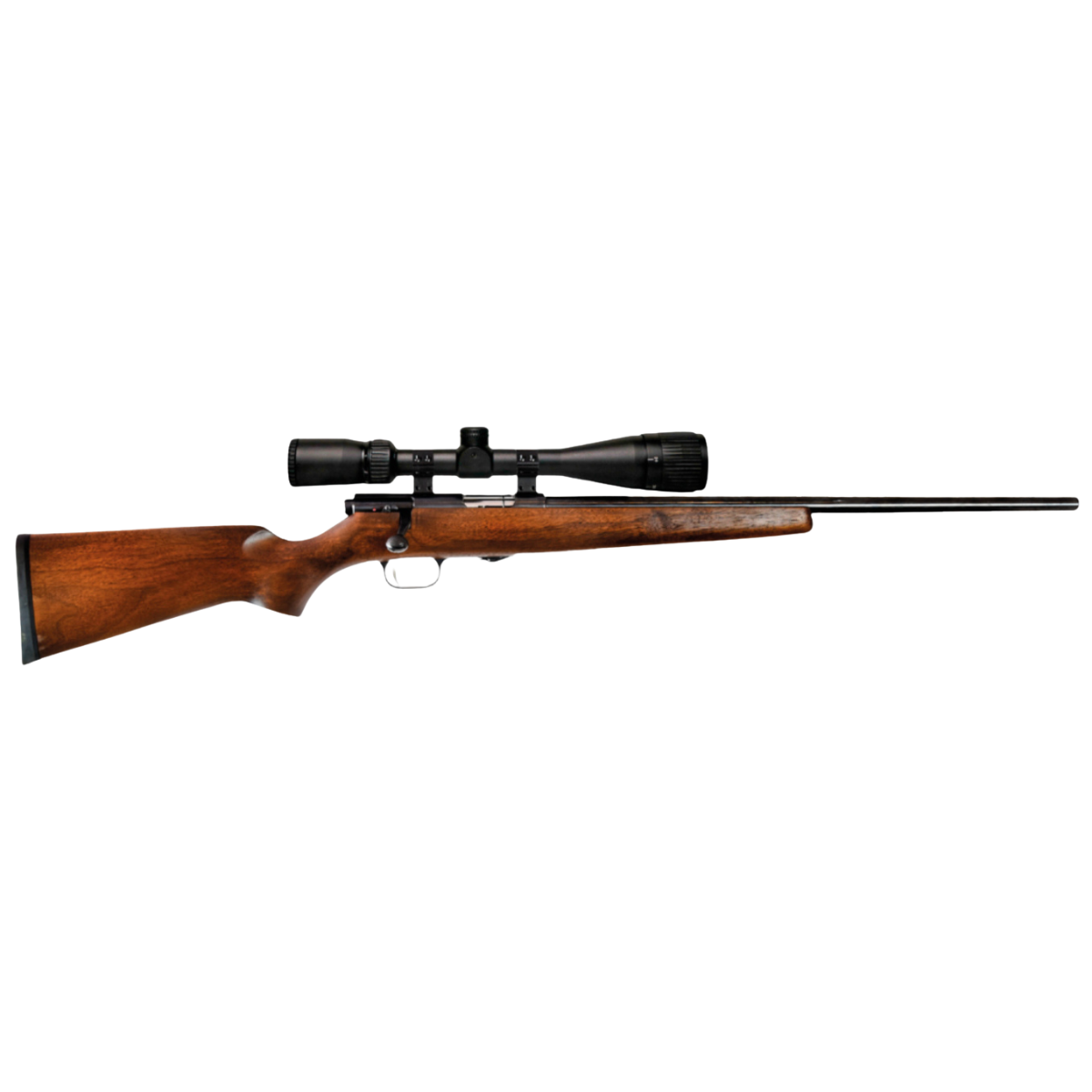 Vapenpaket Weihrauch HW 66P .22LR