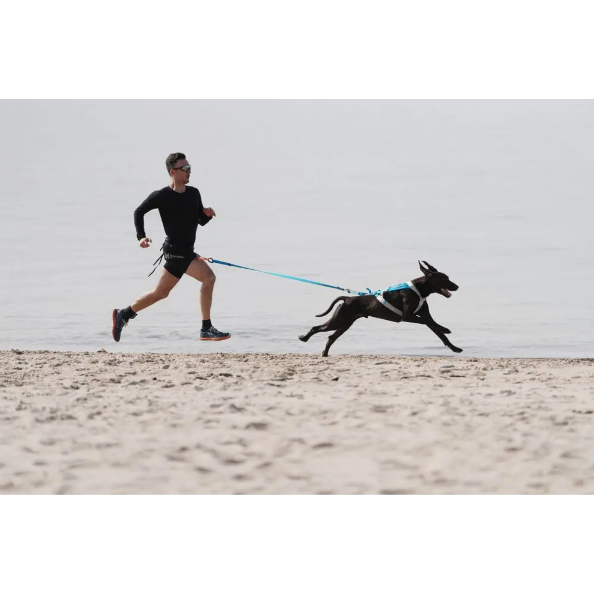 Non Stop Freemotion Harness 5.0