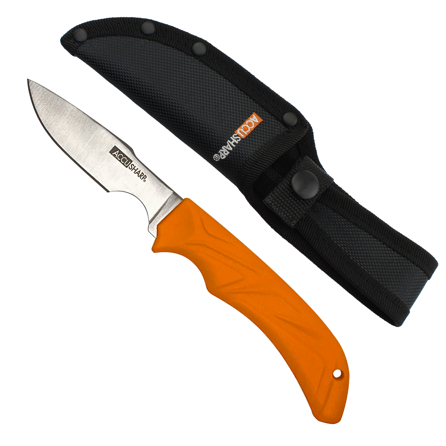 AccuSharp Caping Knife