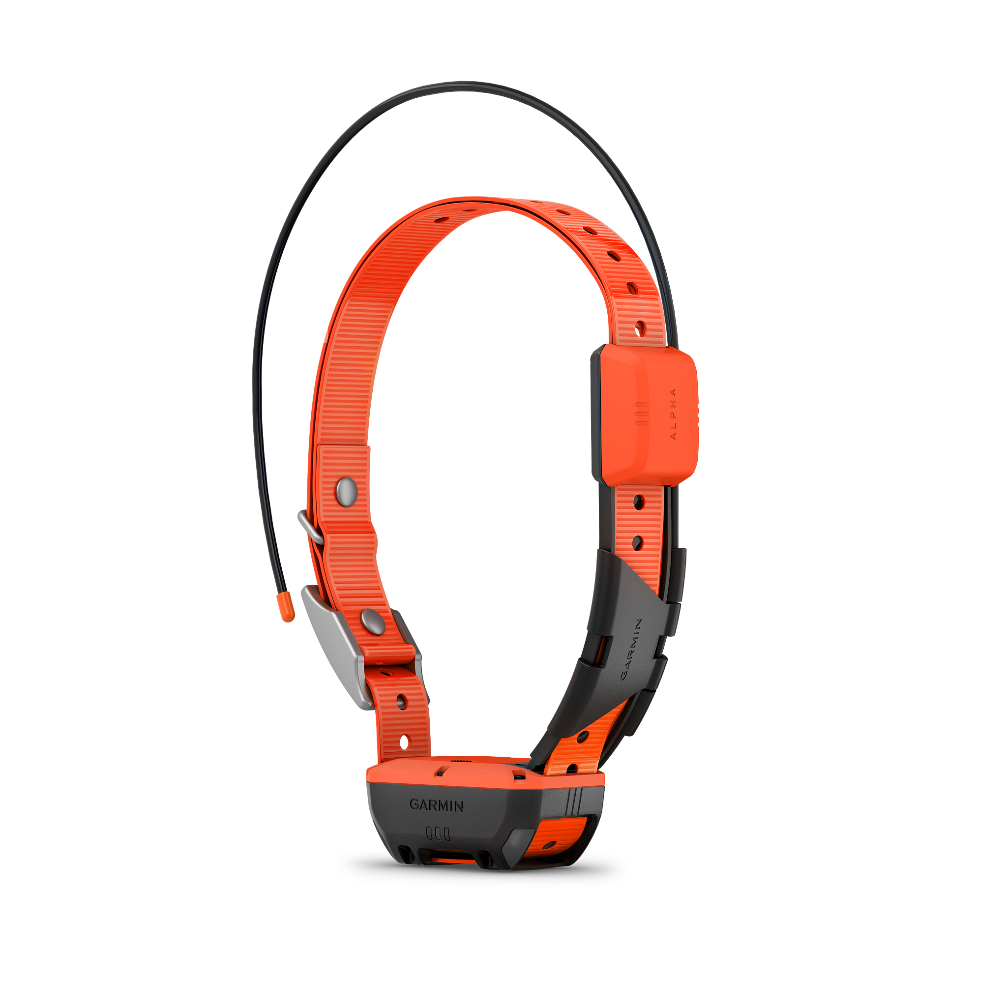 Garmin Halsband Alpha T20