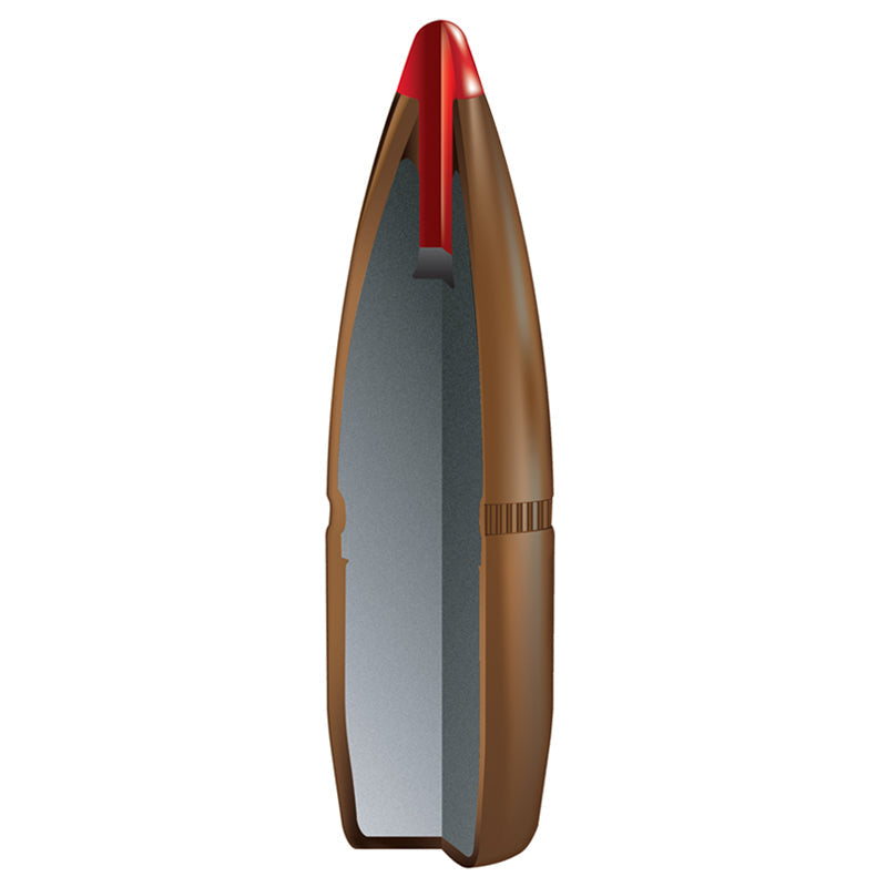 Hornady Kula.45 325gr FTX