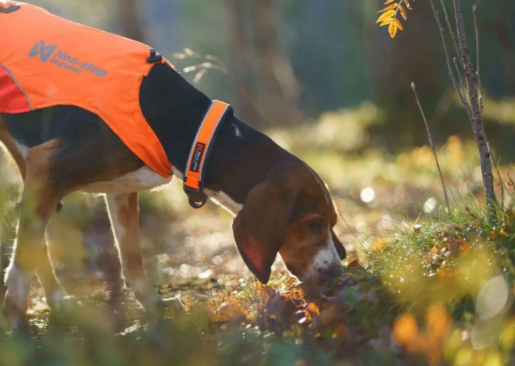 Non Stop Protector Collar Unisex Orange