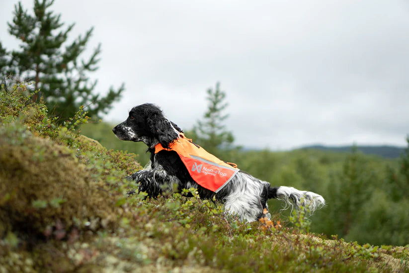 Non Stop Protector vest 2.0 orange