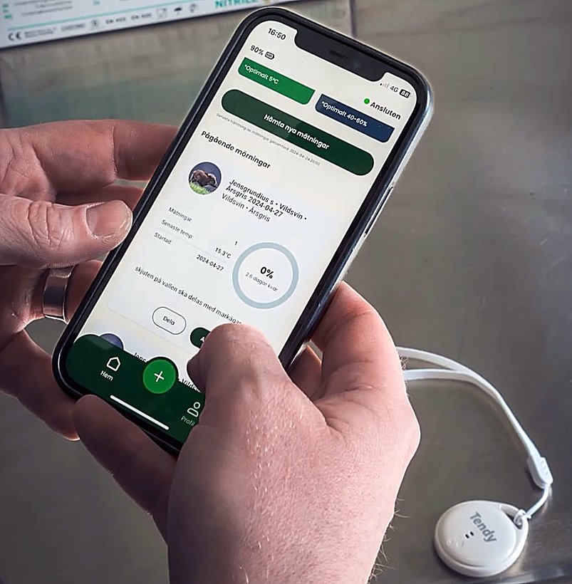 Tendy Nemus Mörningstimer