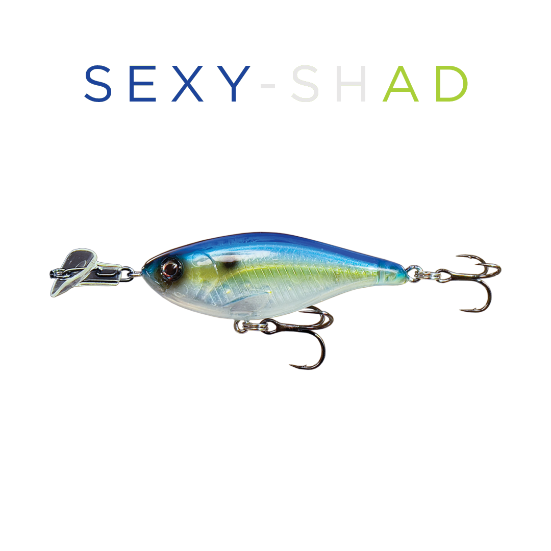 Headbanger Cranky Shad 10,1 cm – Sexy Shad